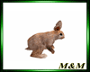 M&T-HARE 