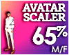 AVATAR SCALER 65%