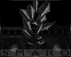 S:Blk Xmas plant+candles