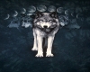 wolf moon rug