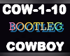 Bootleg Cowboy Chipz