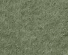 Olive Wall v2