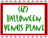 (IZ) Hallo Venus Plant