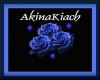AkinaKiach's Sheild
