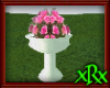 Pot of Roses
