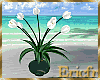 [Efr] Tulips Vase LP3