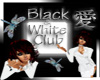 (TP)~Black&White Club~