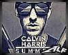 [Alf]Summer-CalvinHarris