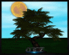 [OB] DECORUS tree