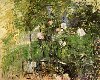 Painting by Morisot