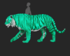 ☢ Ani Tiger Teal