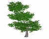 JA| Animated Tree