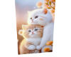 H, Baby cat2