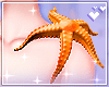 Starfish sho
