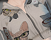 Cat's