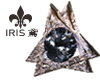 diamond earrings2|IRIS