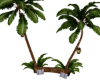 Fire/Palm