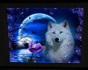 WOLF IN A BLUE MOON