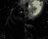 [DES] Panther Radio