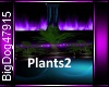 [BD]Plants2