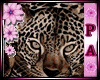 [PA] Leopard Tail