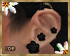 Black Rose Earrings L