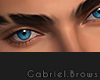 Gabriel Brows