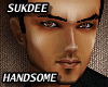 :SD: Handsome Head