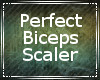 Perfect Biceps Scaler