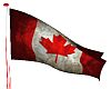 Canada Animated Flag