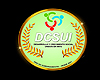 *GH* DCSUI Logo