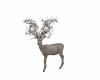 deer white go