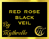 RED ROSE BLACK VEIL