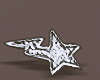 Star earrings