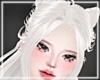 ♰ Angel