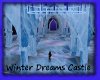 Winter Dreams Castle