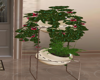 My lil 2 tier plant &pot