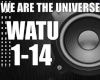 We are the universe