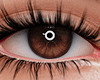 c. Eyes  4