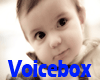 Baby Voices