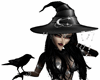 Hallowen Crow Hand Avi