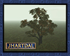 JL Rhaveler Tree