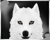 White ice wolf