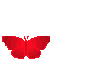 Red Bfly *animated*