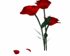 animated rose