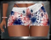USA Celebration Skirt