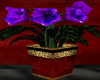 Elegant Purple Plant