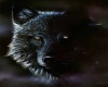 black wolf sofa