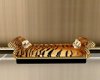 TIGER CHAISE