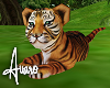 Tiger Cub w/ Poses